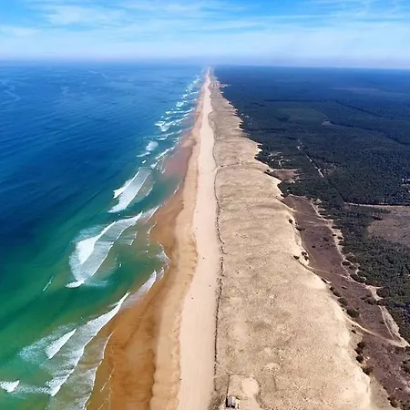 Entre Foret Et Ocean *